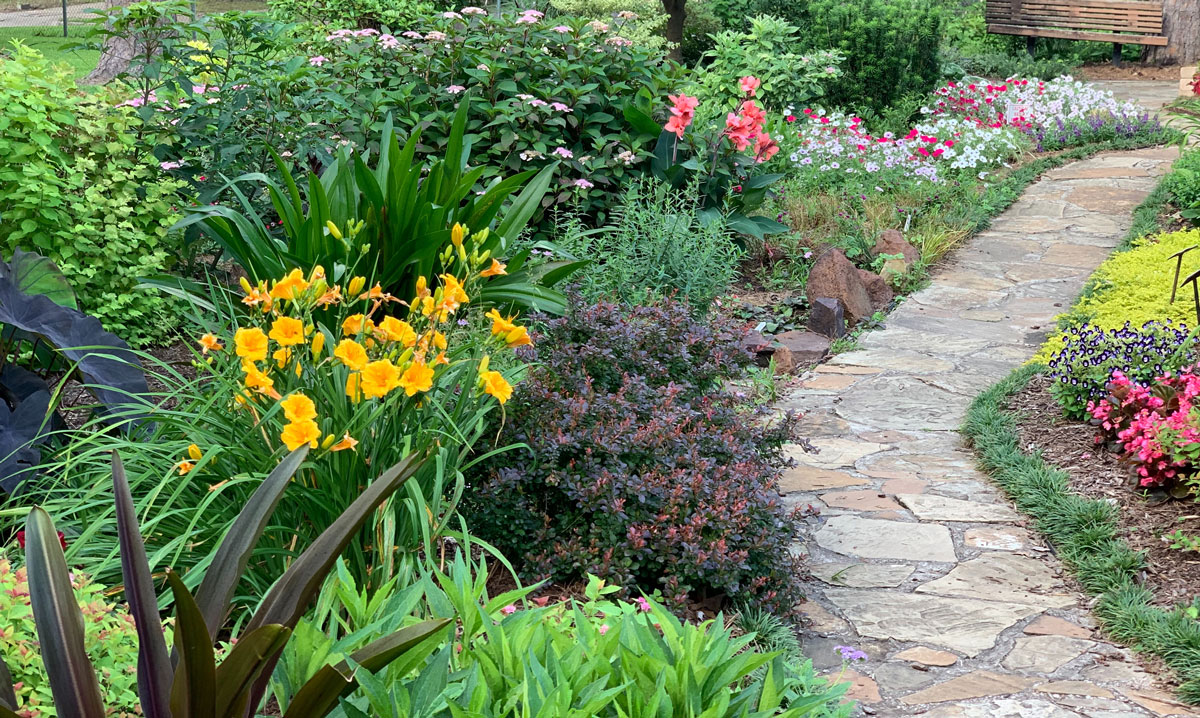 Garden path with bright plants on either side