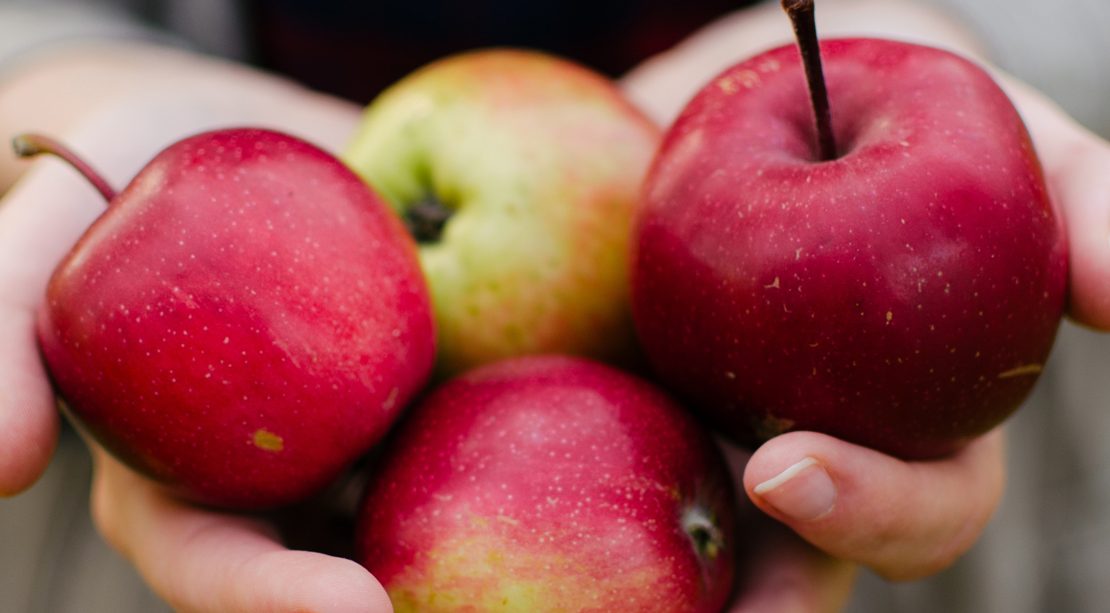person holding apples
